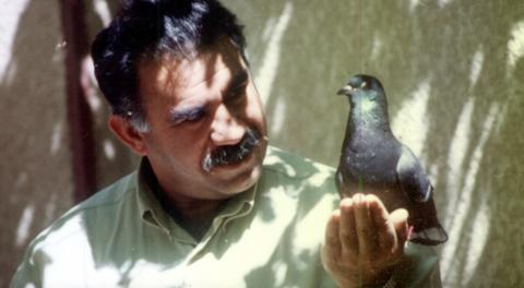 Stran, Ocalan by Lee Brickley